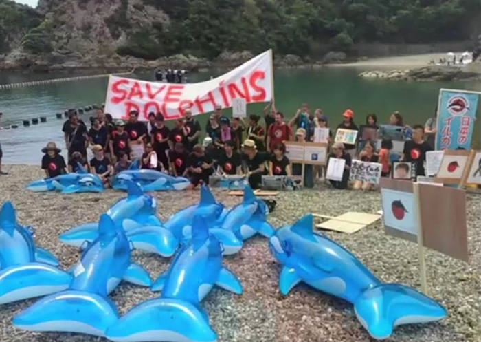 �����б�����֯����ʾ�����顣