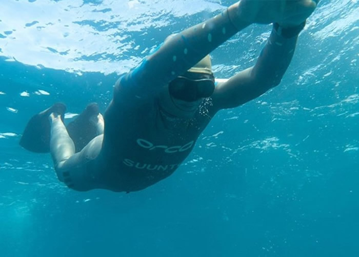 新西兰自由潜水员潜水22公里横越库克海峡 希望唤醒大众对保护濒临绝种海豚的意识