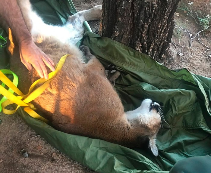 ɽʨ��ȫ����ء���