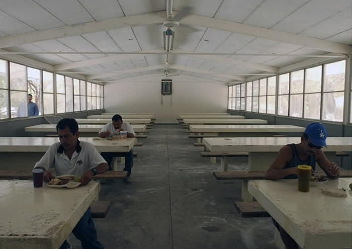 监狱目前仅收容犯案风险较低,或行为良好的囚犯。