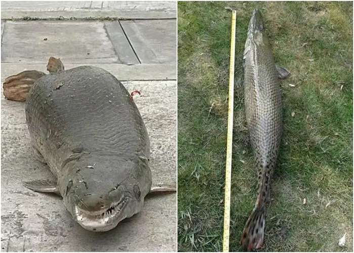 ��ȸ����1.2�ס���10���