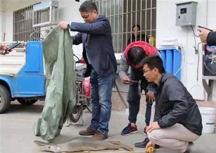 ��ȸ���С���ˮɱ�֡�֮�ƣ�������ʳ����������͡�