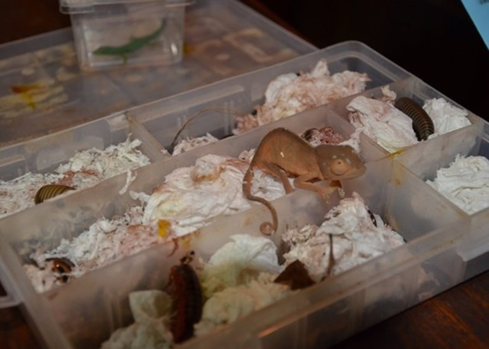 �������ӽ����桢��ɫ����ǧ���ֱ����2�������ڡ�