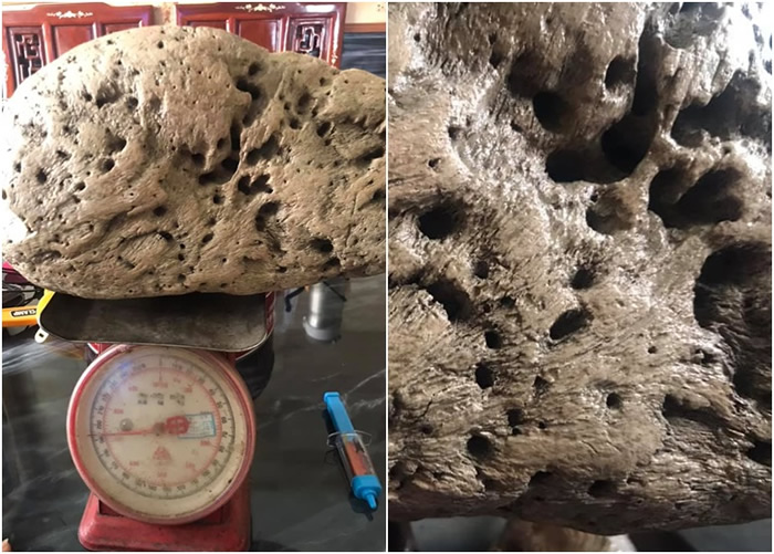 怪石体积与重量不成正比,表面粗糙、布满坑洞。