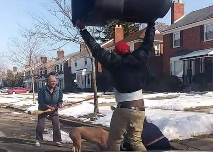 有人用巨型垃圾桶直砸,但恶犬仍无动于衷。