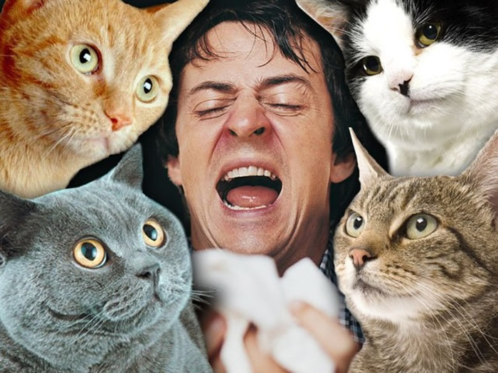 ��PLOS ONE����Ӣ���о�����ԭ��è���Ը�����˵��Ը��й���