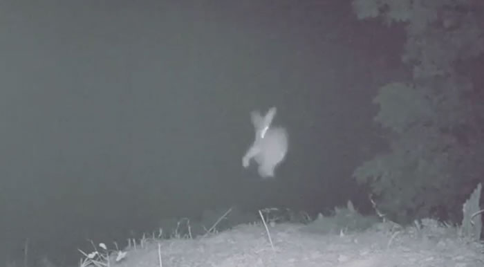 ���Լ�Ӱ���ŵ��Ķ�����