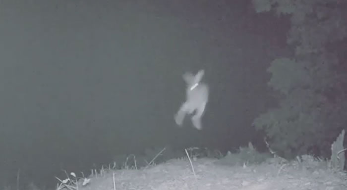 ���Լ�Ӱ���ŵ��Ķ�����