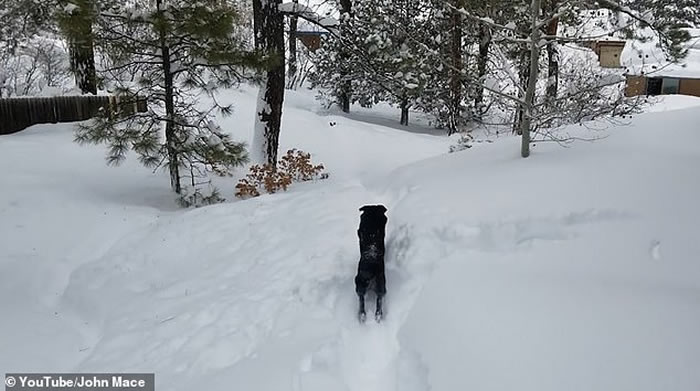 �������������ݾ���ָʾ�ԼҴ�ȥ�����ھӱ���С��