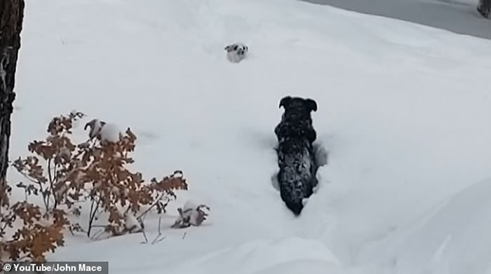 �������������ݾ���ָʾ�ԼҴ�ȥ�����ھӱ���С��