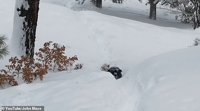 �������������ݾ���ָʾ�ԼҴ�ȥ�����ھӱ���С��