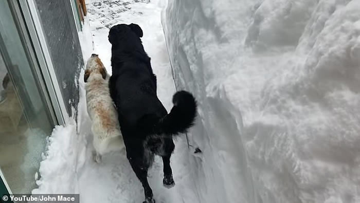 �������������ݾ���ָʾ�ԼҴ�ȥ�����ھӱ���С��