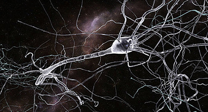 中俄美国科学家成功获得Ⅱ型大麻素受体晶体结构 有助开发抗炎症药物