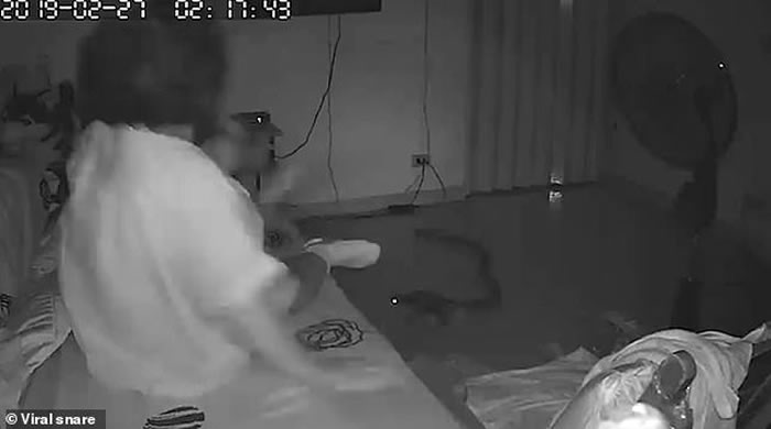 睡梦梦见很多大蟒蛇,潜意识深处的象征与启示 睡梦梦见很多大蟒蛇,潜意识深处的象征与启示