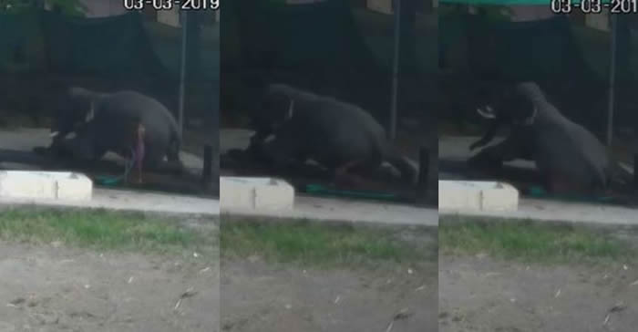 ӡ�ȿ�����������ķ����԰Ա�������ϴ�費������ ������һƨ�����»��ѹ��