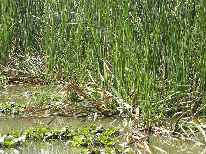 �����ҳ�ӡ����������«έ�е�С�鿪����