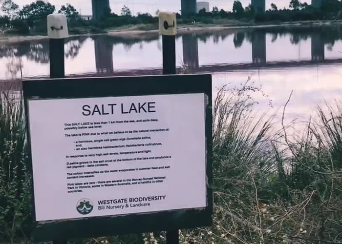 公园管理局已在湖边竖立告示,呼吁游客不要接触湖水。