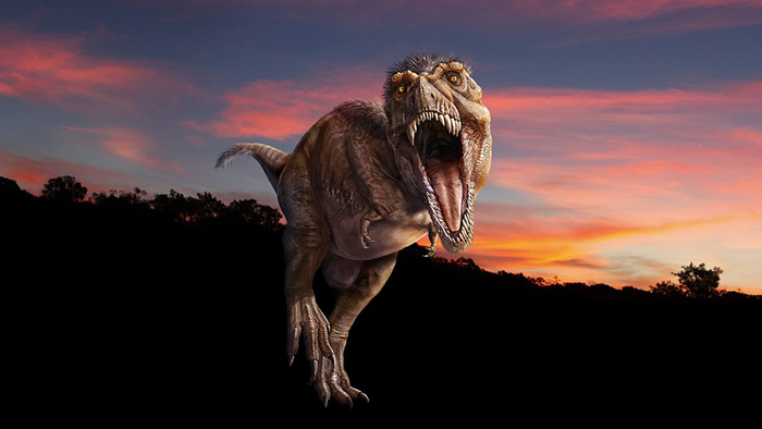 美国自然史博物馆与HTC VIVE首款雷克斯暴龙VR体验《T. rex:Skeleton Crew》