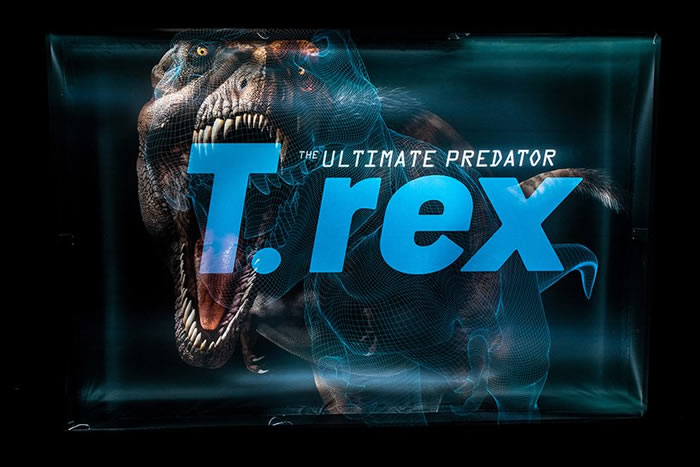美国自然史博物馆与HTC VIVE首款雷克斯暴龙VR体验《T. rex:Skeleton Crew》