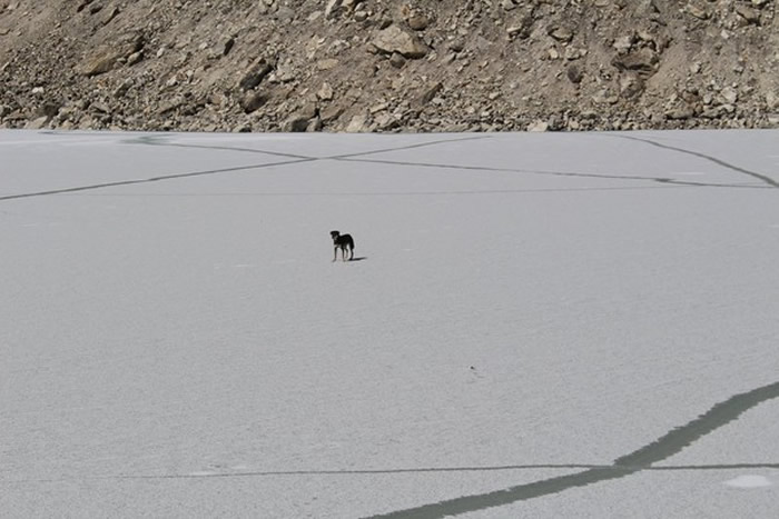 տʼ÷ֲϸɽһӪأڱ¶2ҹ