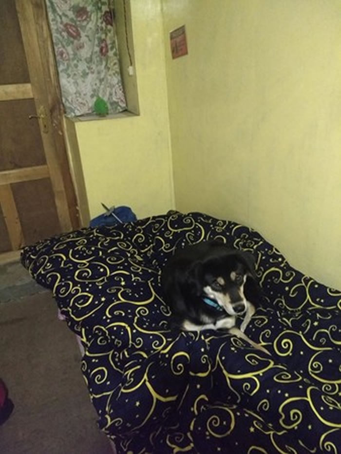 ÷ڸа³Լҵһůļҡ