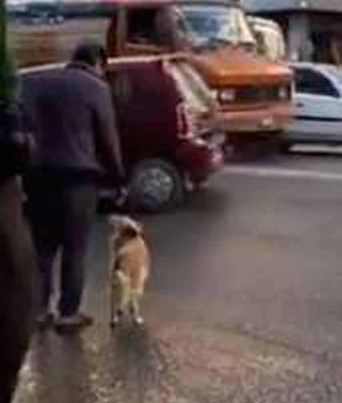 �����������Ჴ���׶��ӵ������ĵ����ˡ���ǣ�֡�����С������·����ȤһĻ