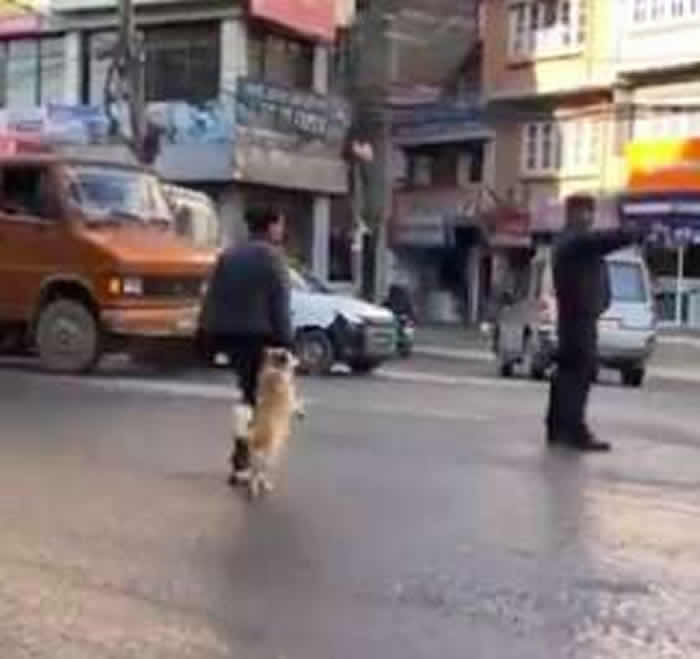 �����������Ჴ���׶��ӵ������ĵ����ˡ���ǣ�֡�����С������·����ȤһĻ