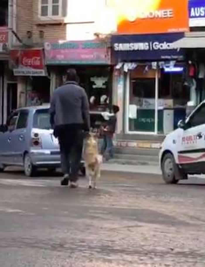 �����������Ჴ���׶��ӵ������ĵ����ˡ���ǣ�֡�����С������·����ȤһĻ