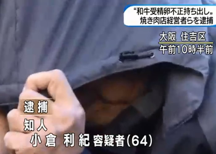 СʹţܾѺ;Һ뾳ʱйؽ¡