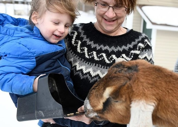 �����������ݷѶ�����һֻɽ����ѹè����ɳ��ȶ��ֶ��ﵱѡ��