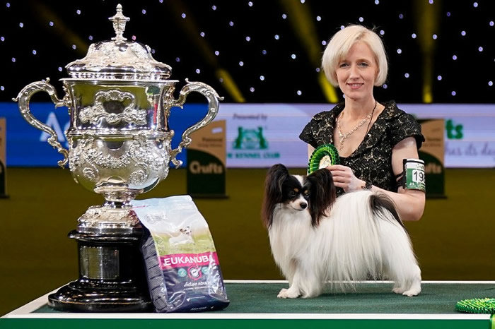 ���׻�������١�