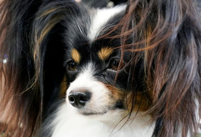 ����ë��������