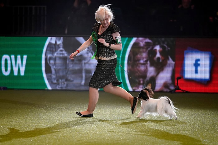 ���ݻ��ڡ�