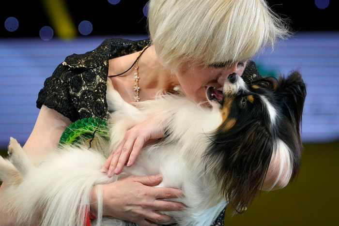 ��ɪ�����ǰ�Ȯ��