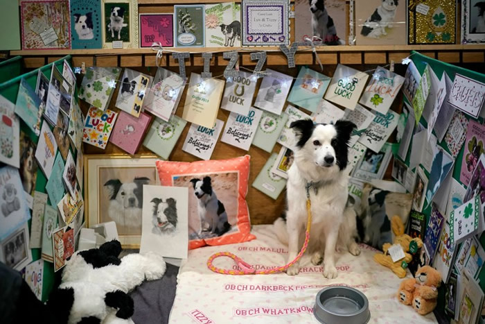 �ȴ������Ĺ���