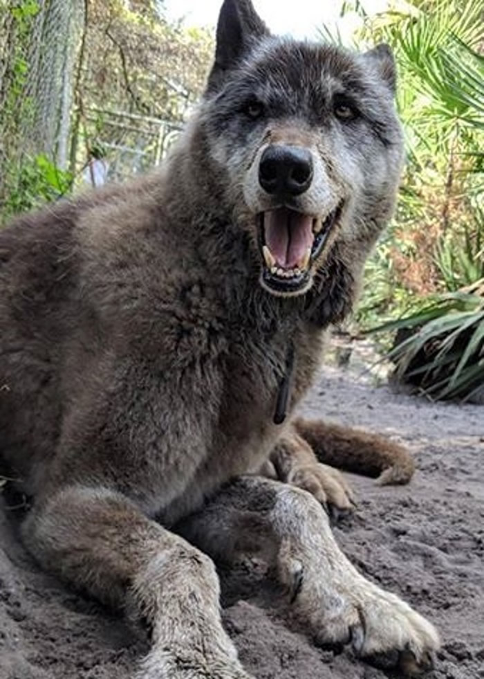 YukiΪ���빷�ӽ��������µĺ����