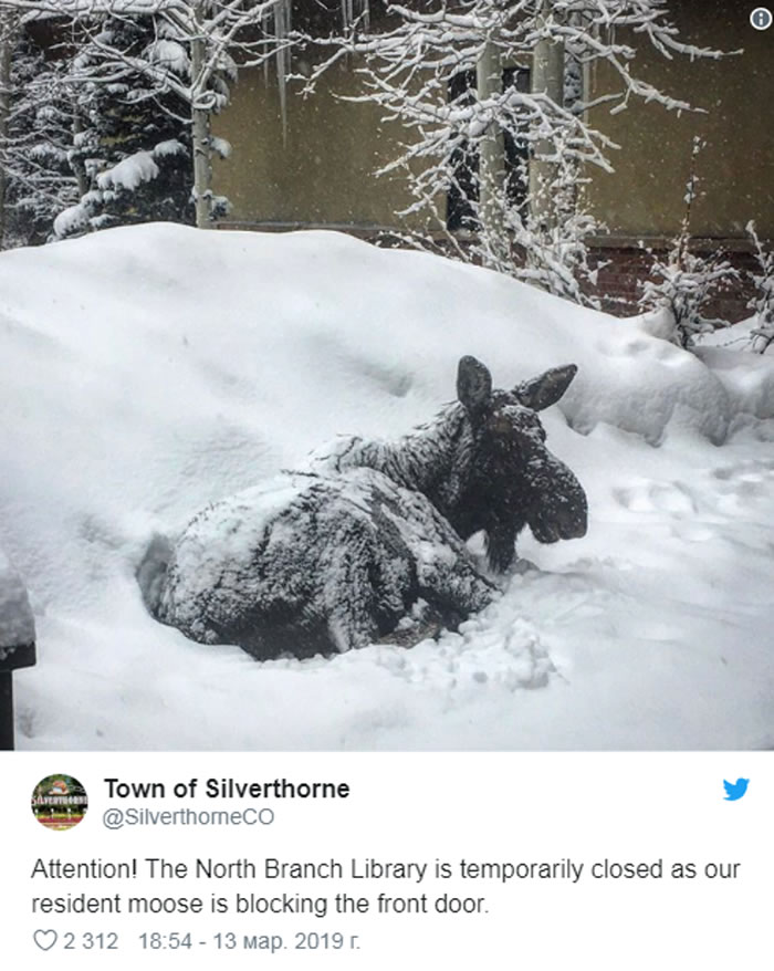 ͼһֻ¹ǰ˯ŹرСʱ