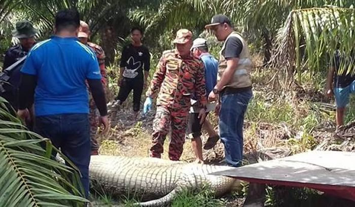 ��������4���߾������̹��� ��׽�ʶǾ���һ���˹�