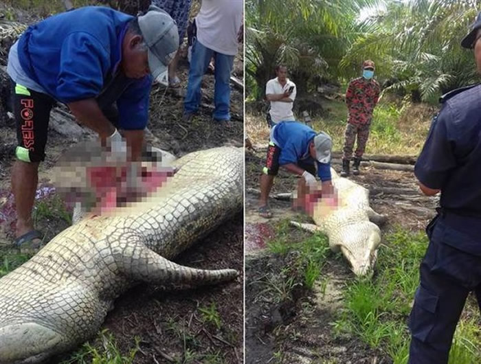 ��������4���߾������̹��� ��׽�ʶǾ���һ���˹�