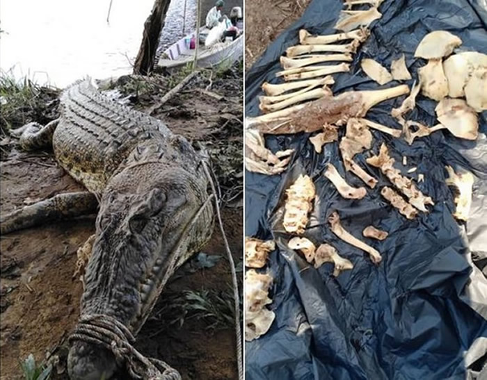 ��������4���߾������̹��� ��׽�ʶǾ���һ���˹�