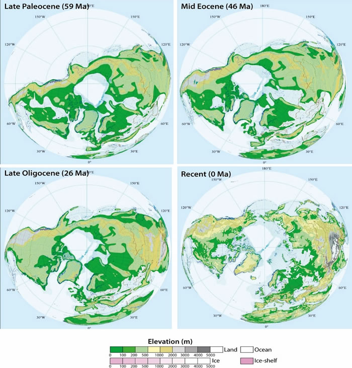 ͬʱڰ½ŵĵ֣From Wen et al. 2016