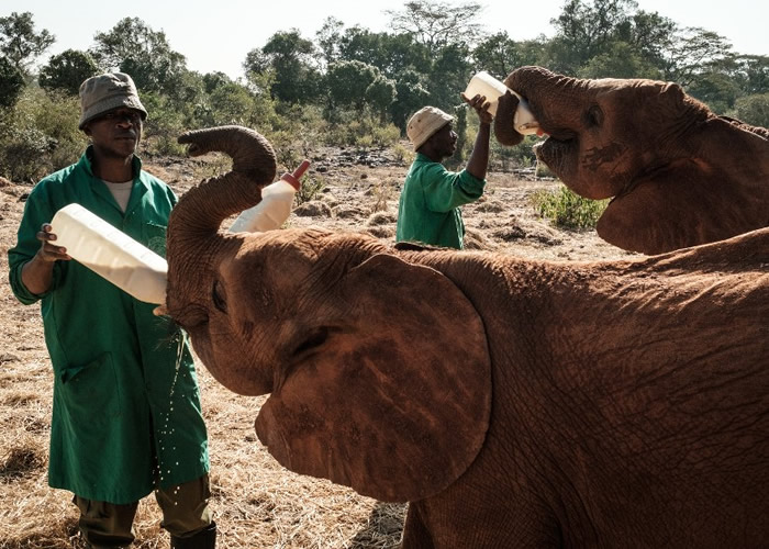 ְԱϤ���չ�С��