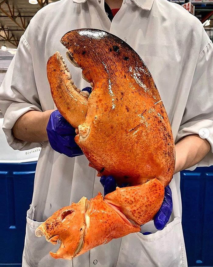 ����COSTCO�����Ƴ���Ʒ��������Ϻ����