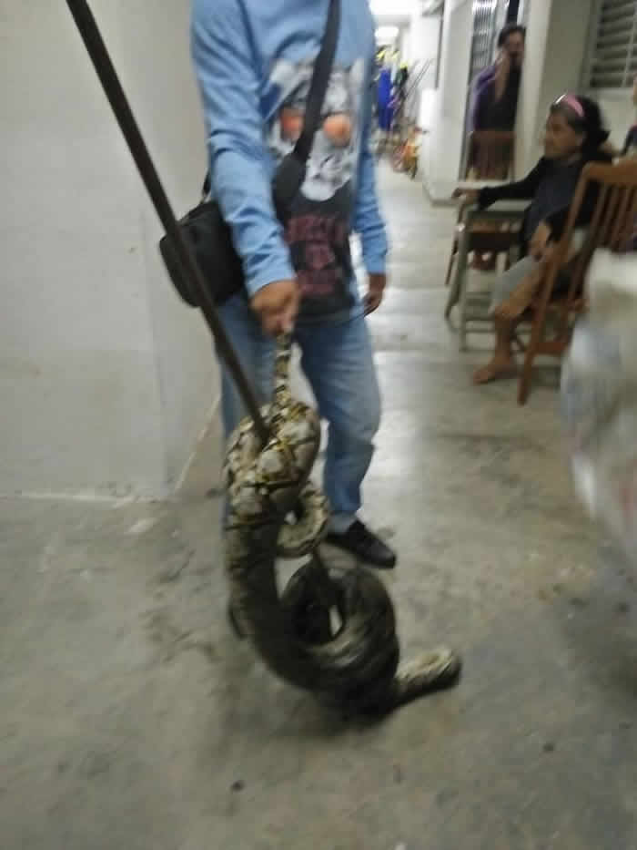 �賿4��о����ӱ����� ����������Ů���Ѳұ�3���߳������ƾ�