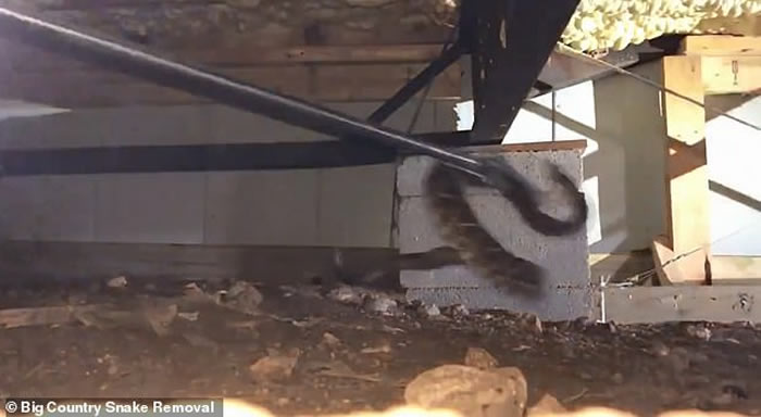 ��������������ȼ��з������߳�û ר���ڳ�һ��45����β��