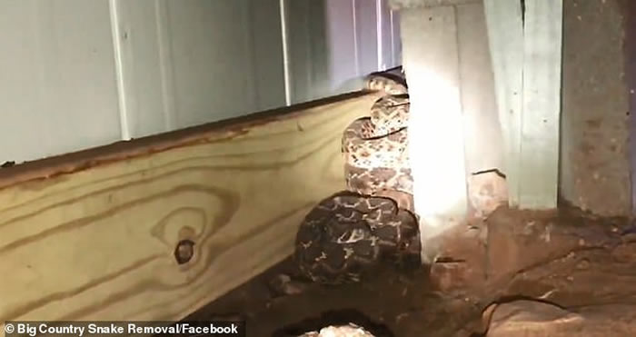 ��������������ȼ��з������߳�û ר���ڳ�һ��45����β��