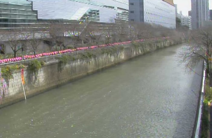 ϴͼƬʾĿڴԵӣҲ콫