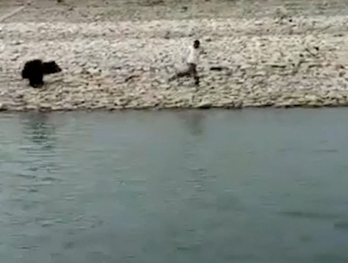 ӡ�Ȼ���Ա�����ܵĲ�������������