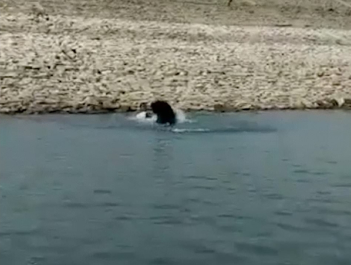 ӡ�Ȼ���Ա�����ܵĲ�������������