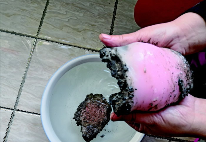 ��Ȼ��ġ�̫��ͷ�϶����� ��������ӱ������ڵ���̫�ꡱ